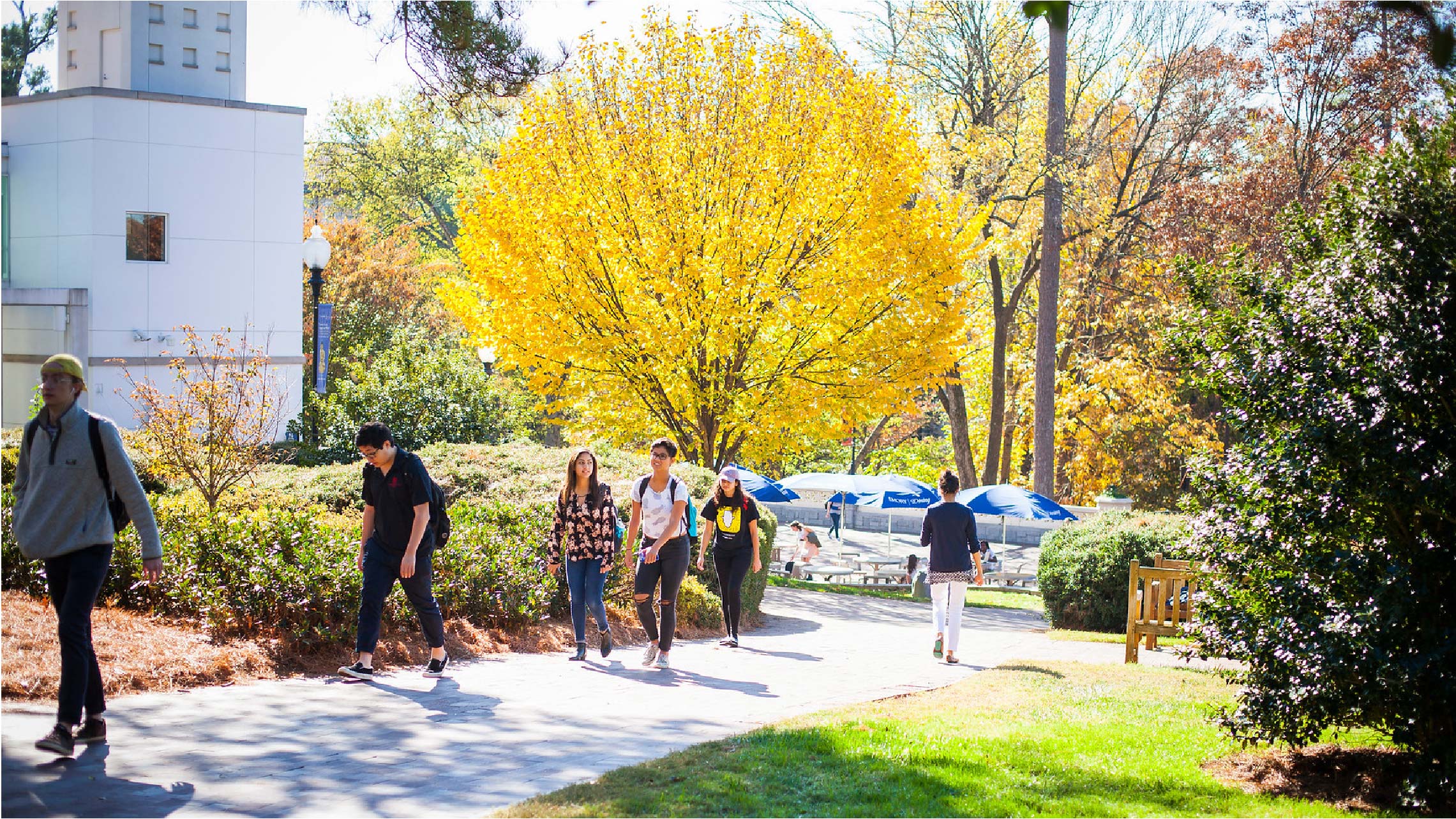 About Us | Emory University | Atlanta GA